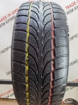 Nokian WR R16 205/55