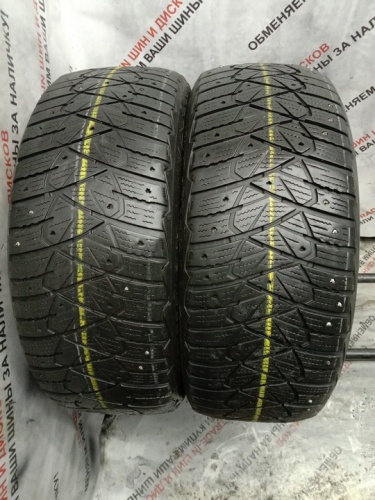 Dunlop Ice Touch R17 225/55