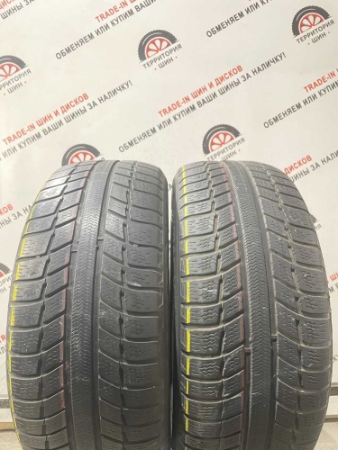 Michelin Primacy Alpin R16 225/55